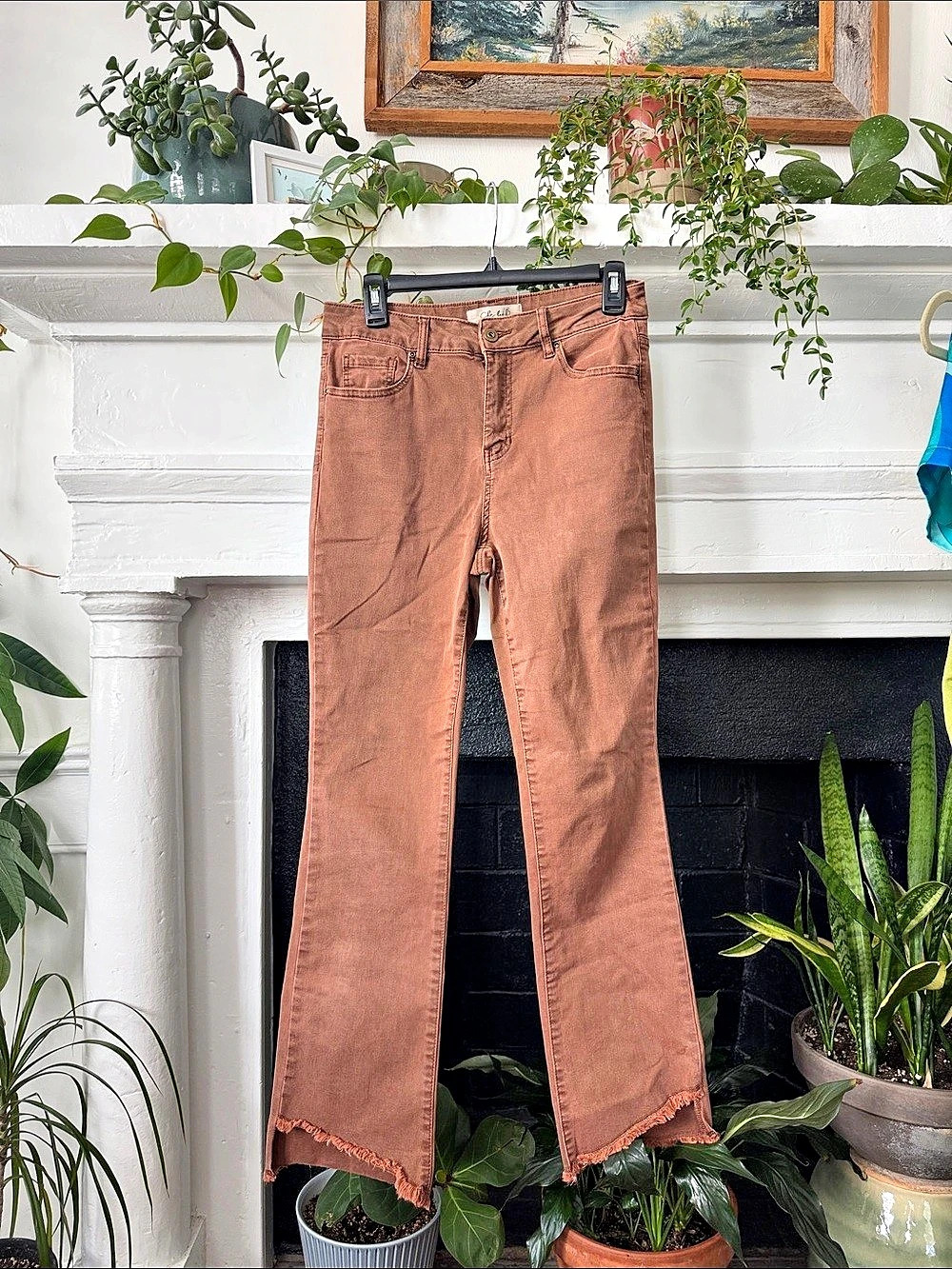 Charlie B Flare Jeans in Brown Waist 8